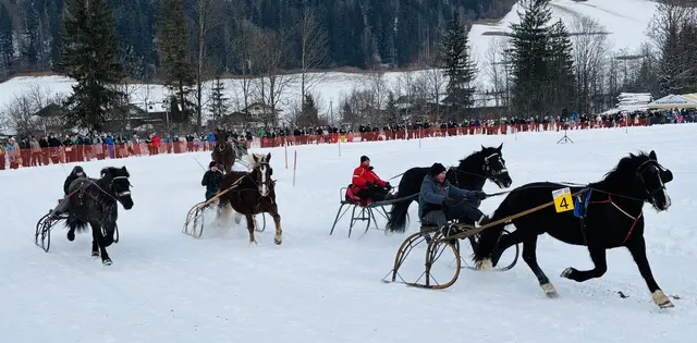 Foto: Nikolaus Kogler