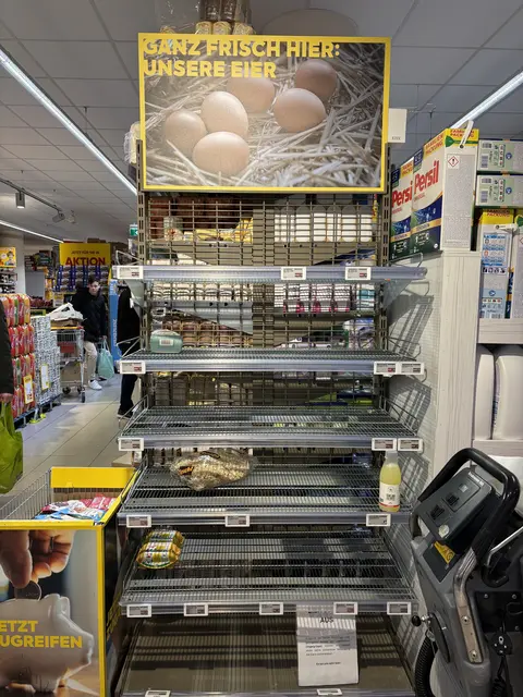 Nur noch zwei Eier-Kartons waren etwa in einer Wiener Supermarktfiliale am Montagnachmittag, 5. Jänner, zu finden. | Foto: Johannes Reiterits/MeinBezirk