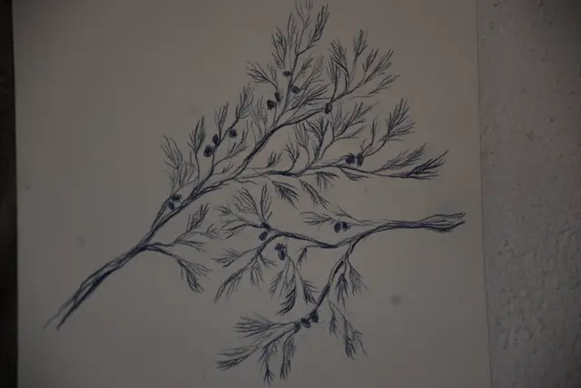 Sarah Maria Saminger bemalt Wände. | Foto: Zinterhof