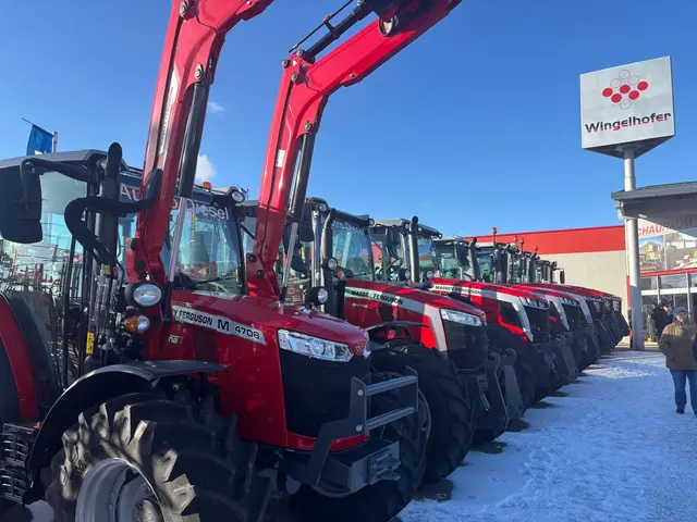 Foto: Manuela Danzinger