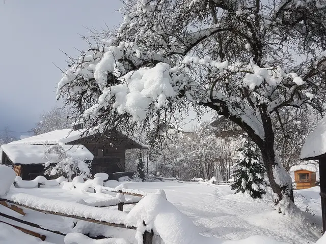 (c) Elisabeth Schellhorn