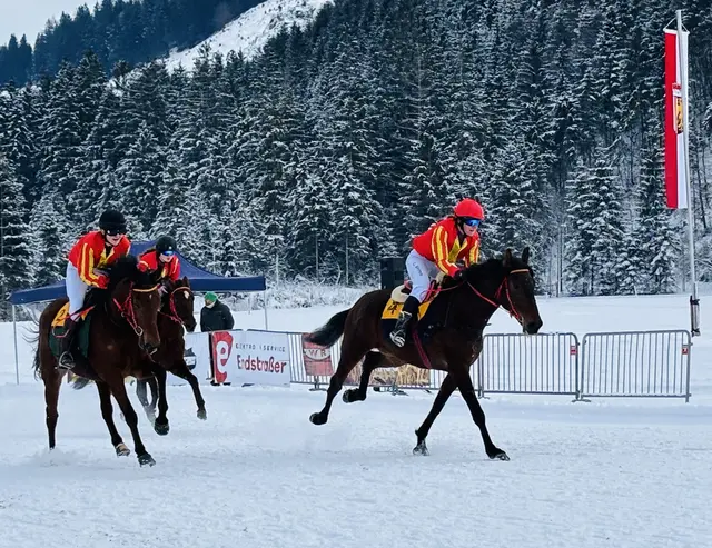 Die Galopper lieferten sich einen harten Kampf. | Foto: Nikolaus Kogler