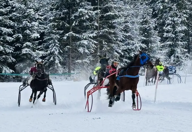 Foto: Nikolaus Kogler