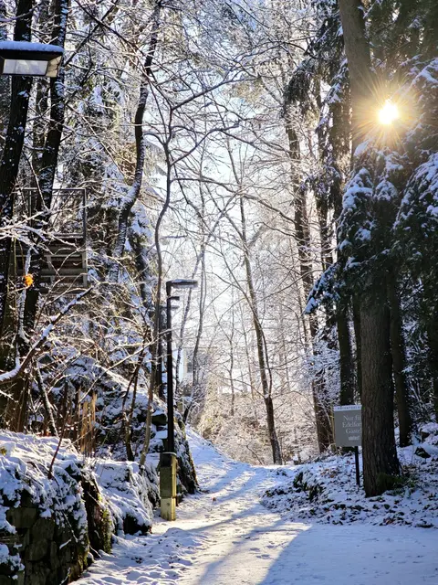 Winter im Waldviertel | Foto: Julia Winkler