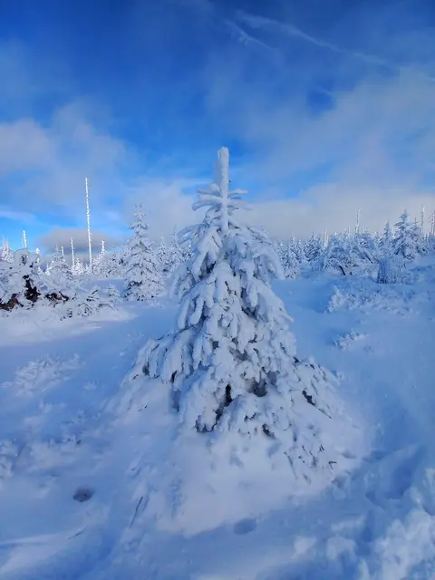 Herrliche Winterlandschaft im Böhmerwald