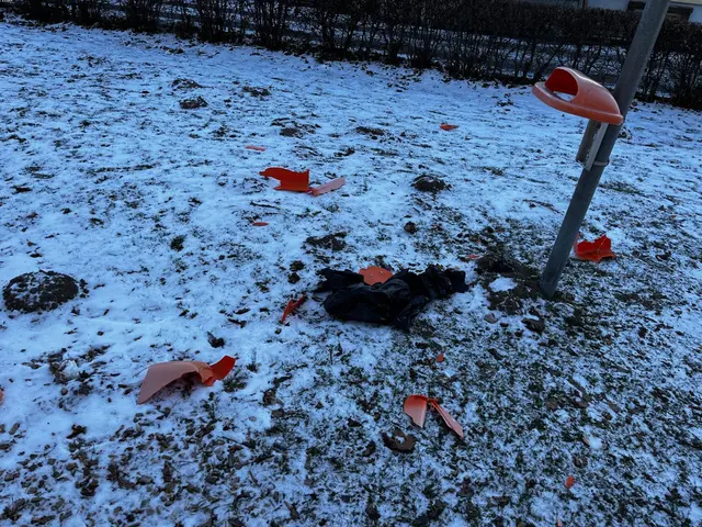 Von einigen Mülleimern blieb nicht mehr viel übrig. | Foto: Gemeinde Waldzell