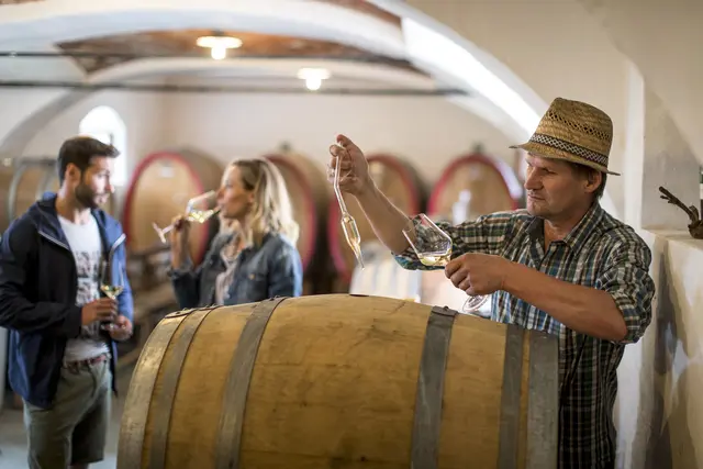 Bei den Fassprobenverkostungen erhalten die Besucherinnen und Besucher einen umfangreichen Einblick in einzelne Weinbaubetriebe und deren Schätze im Weinkeller. | Foto: Copyright Tom Lamm