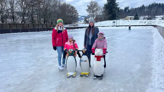 In der Bärnbacher Karellystraße stehen auch Eis-Pinguins zur Verfügung. | Foto: Stadtgemeinde Bärnbach