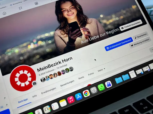 Auf der Social-Media-Seite von MeinBezirk Horn äußerten zahlreiche Leser Kritik an den Spenden. | Foto: Markus Kahrer