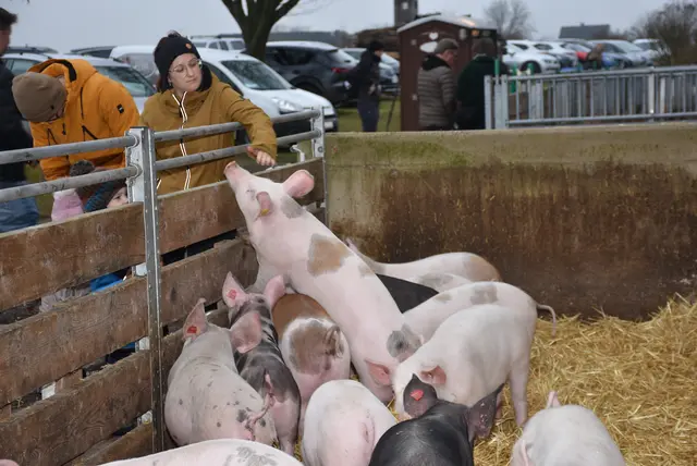 Weihnachtsmarkt 2025 am Hacknerhof in Mitterkirchen, Familie Resch.  | Foto: Zinterhof