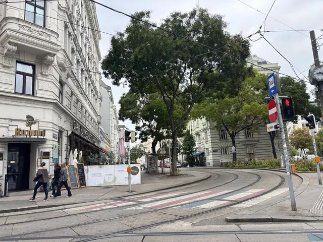 Für Diskussionen sorgt die Umgestalltung vom Josef-Matthias-Hauer-Platz. | Foto: Pia Rotter/MeinBezirk