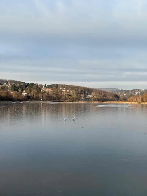 Foto: FF Purkersdorf