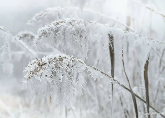 Auch die Tagestemperaturen übersteigen vielerorts im Burgenland nicht den Nullpunkt.  | Foto: Roland Strejcek