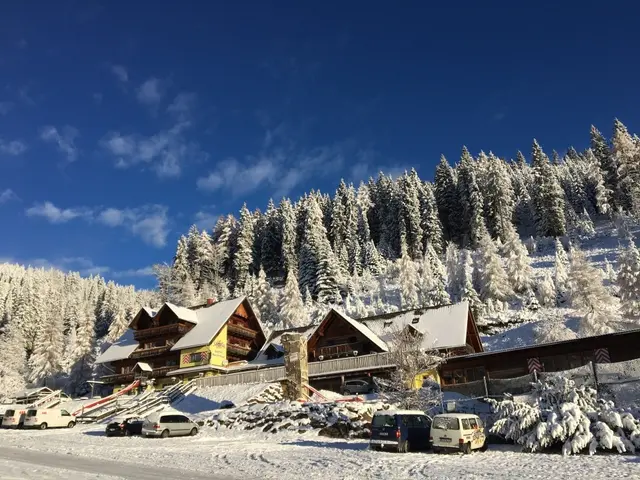 Wintermärchen am Salzstiegl, auch die Rodelbahn und die Kunsteisstockbahn sind in Betrieb. | Foto: Salzstiegl/N. Seiser