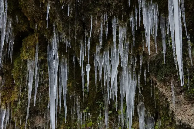 Foto: Gerhard Hütmeyer