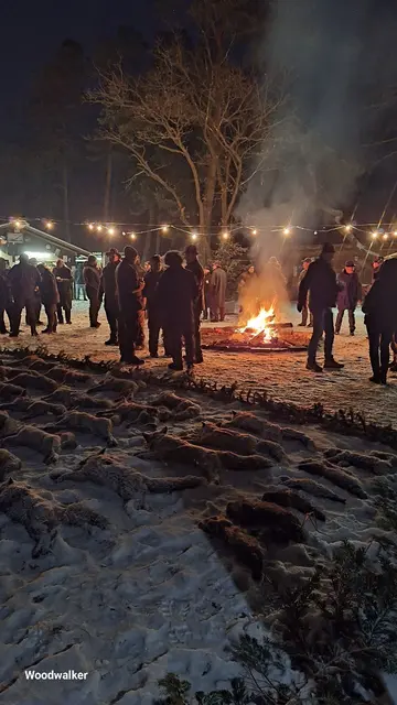 Die Streckenlegung zur Raubwildwoche 2026 in Oberpullendorf zeigt die erlegten Füchse, Marder und Iltisse. | Foto: Robert Herz