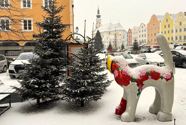 Die legendäre kleine Katze namens Frieda am Oberen Stadtplatz in Schärding nahm den plötzlichen Wintereinbruch gelassen. | Foto: Gruber