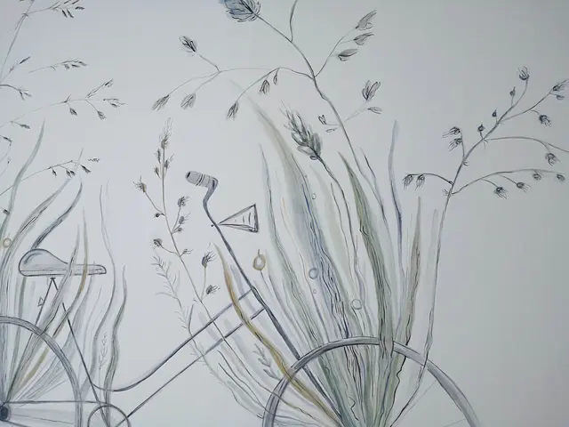 Sarah Maria Saminger bemalt Wände. | Foto: Sarah Maria Saminger