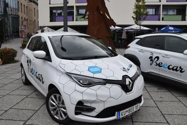 An verschiedenen Standorten in Kufstein warten die "Beecars".  | Foto: Barbara Fluckinger