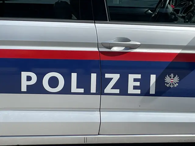 Die Polizei musste einen Mann gleich zweimal festnehmen. (Symobolfoto) | Foto: Antonio Šećerović/RMW