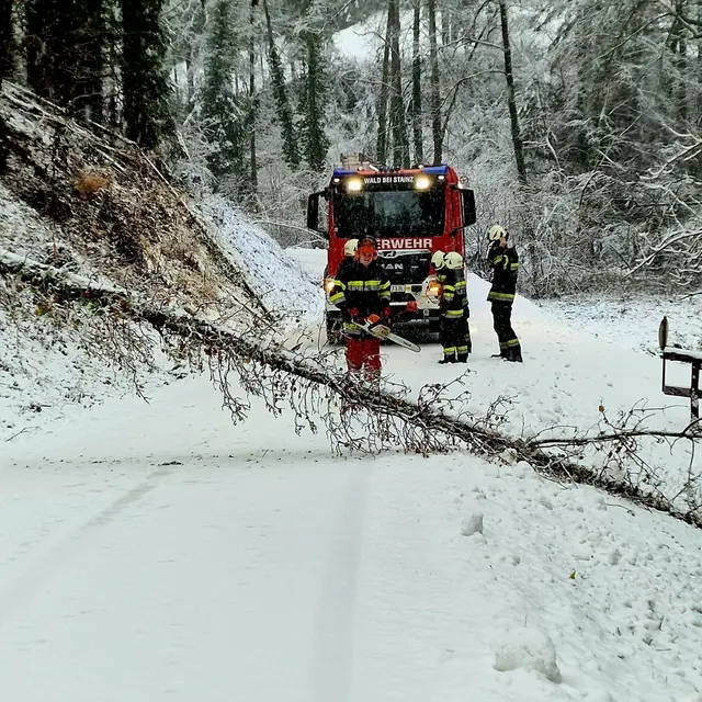 Auch umgestürzte Bäume müssen die Feuerwehren immer wieder beseitigen. | Foto: FF Wald