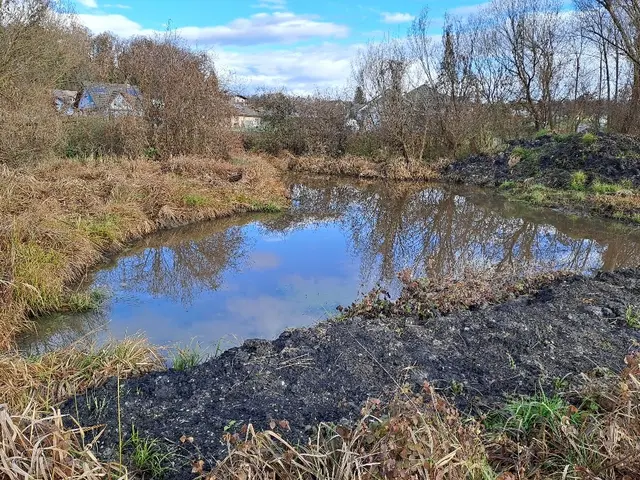 Das geschützte Gebiet Moortrieschl in Dobl-Zwaring wurde von der Berg- und Naturwacht Kalsdorf unter der Leitung von Eva Bernhart von der Landesleitung und mit finanzieller Unterstützung der EU renaturiert. | Foto: privat