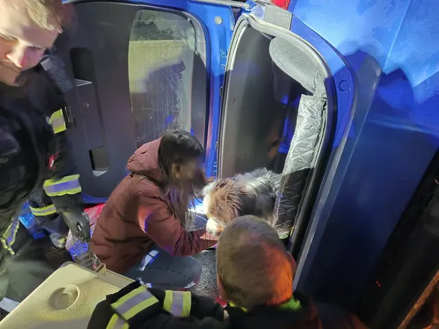 Gerettet: der vierbeinige Passagier im Unfallwagen. | Foto: www.einsatzdoku.at