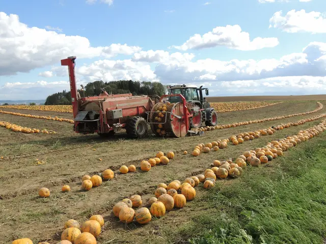 Die Landwirtschaftskammer Oberösterreich lehnt das Mercosur-Freihandelsabkommen strikt ab.  | Foto: LK OÖ
