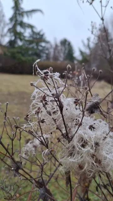 Symbolbild | Foto: BETTINA ENK