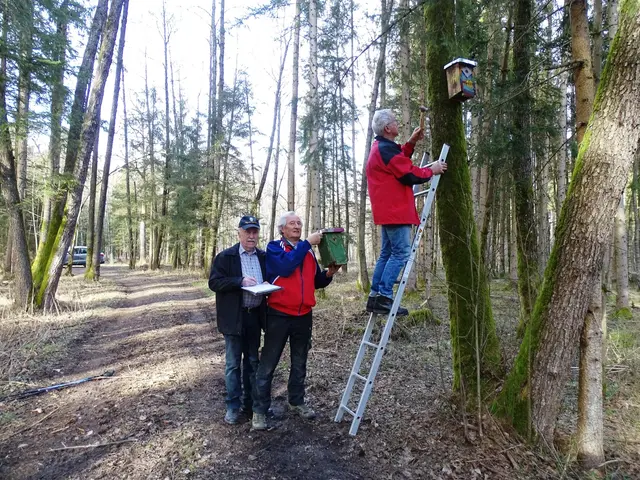 Die Berg- und Naturwacht beim Aufhängen und Reinigen der Nistkästen. | Foto: privat