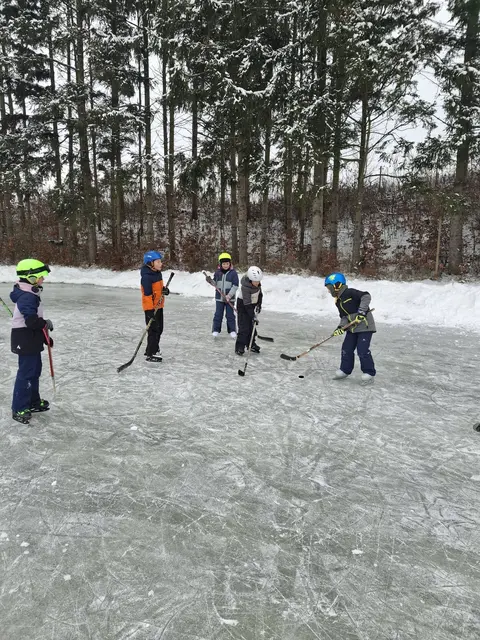 Foto: Naturparkschule VS Mogersdorf