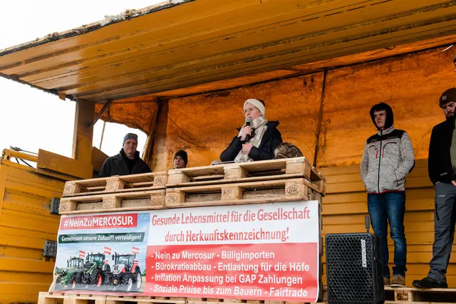 Foto: Büro LH-Stv.in Haider-Wallner