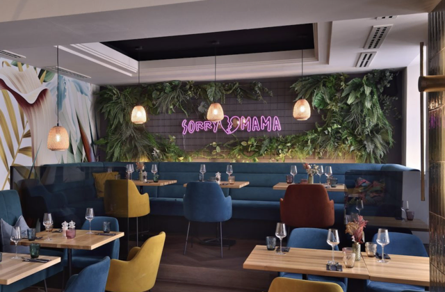 Das Sorry Mama am Stadtplatz 11 in Wels. | Foto: LSD.co.at
