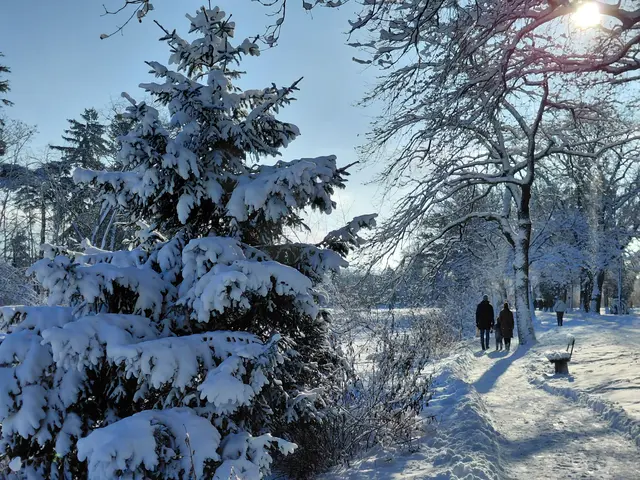 Am Leopoldskroner Weiher  | Foto: H.Bachinger