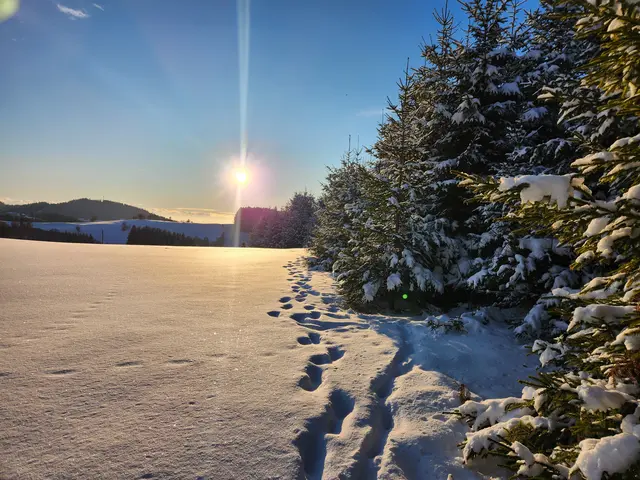 Winter-Idylle In St. Georgen am Walde. | Foto: Thomas Lettner