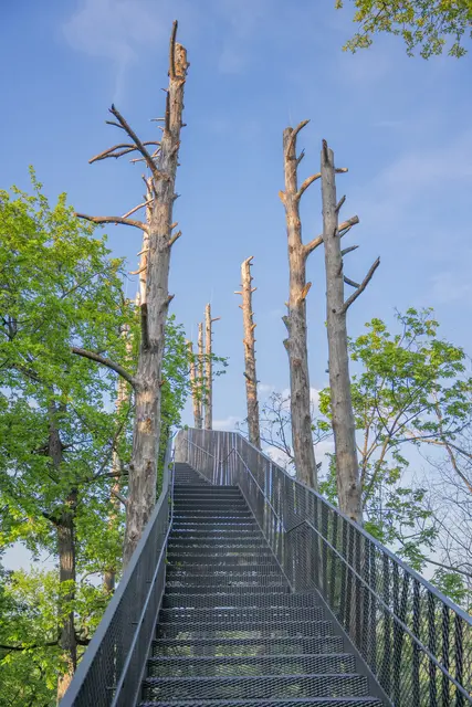 Aussichtswarte „Umlaufblick“ wurde im Mai 2025 eröffnet. | Foto: Teresa Nunner