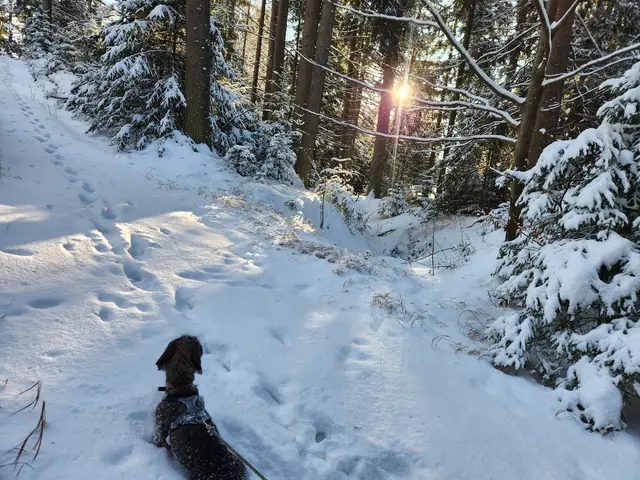 In St. Georgen am Walde | Foto: Thomas Lettner