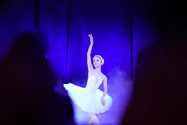 Die Eröffnung vom Europaballet St. Pölten "White Swan - Black Swan". | Foto: Michael Berger