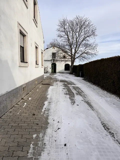 Foto: Andrea Glatzer