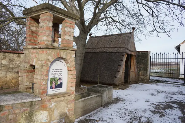 Foto: Andrea Glatzer