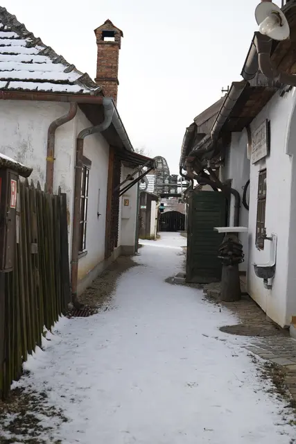 Foto: Andrea Glatzer