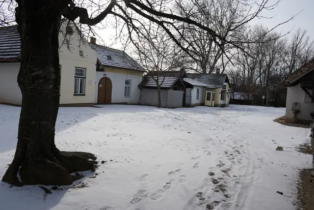 Foto: Andrea Glatzer