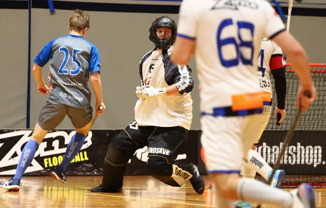 Goalie Georg Leitner war wie immer ein sicherer Rückhalt. | Foto: ÖFBV / Rachlinger
