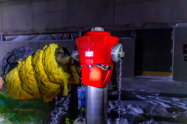 Foto: Hermann Kollinger