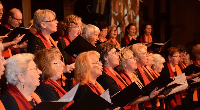 Der 1. Wiener Gemeindebauchor sucht stets nach neuen Stimmen. Interessierte können jeden Montag bei der Chorprobe in der Bernoullistraße 1 mitmachen. | Foto: Andreas W. Rausch