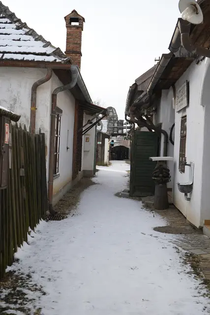 Foto: Andrea Glatzer