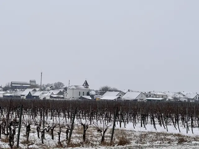 Dorfmuseum Mönchhof im Winter | Foto: Andrea Glatzer