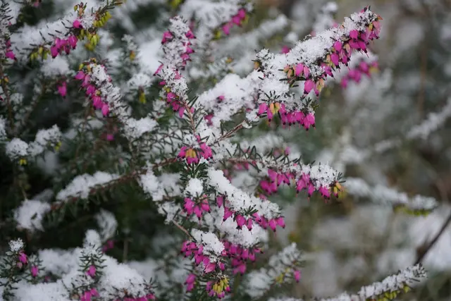 Schnappschuss aus Pettenbach. | Foto: Alfred Schmutz