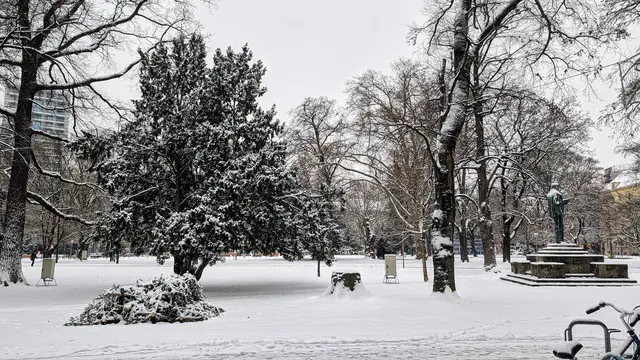Foto: MeinBezirk/Reischl