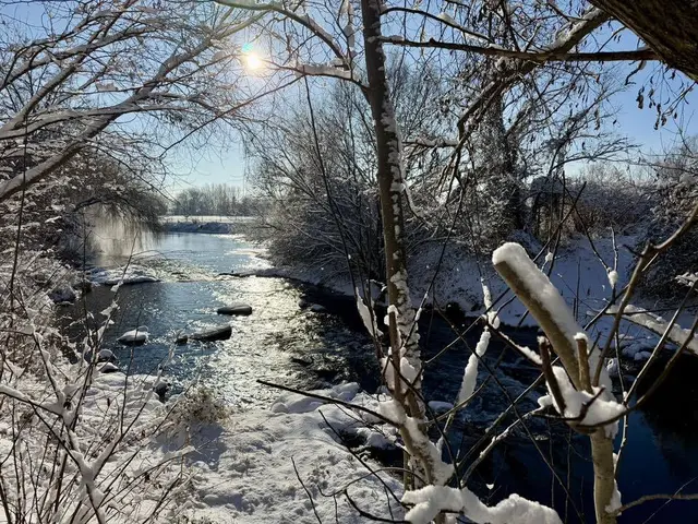 Winterliche Aist beim Dachsberg in Schwertberg
 | Foto: Max Oberleitner